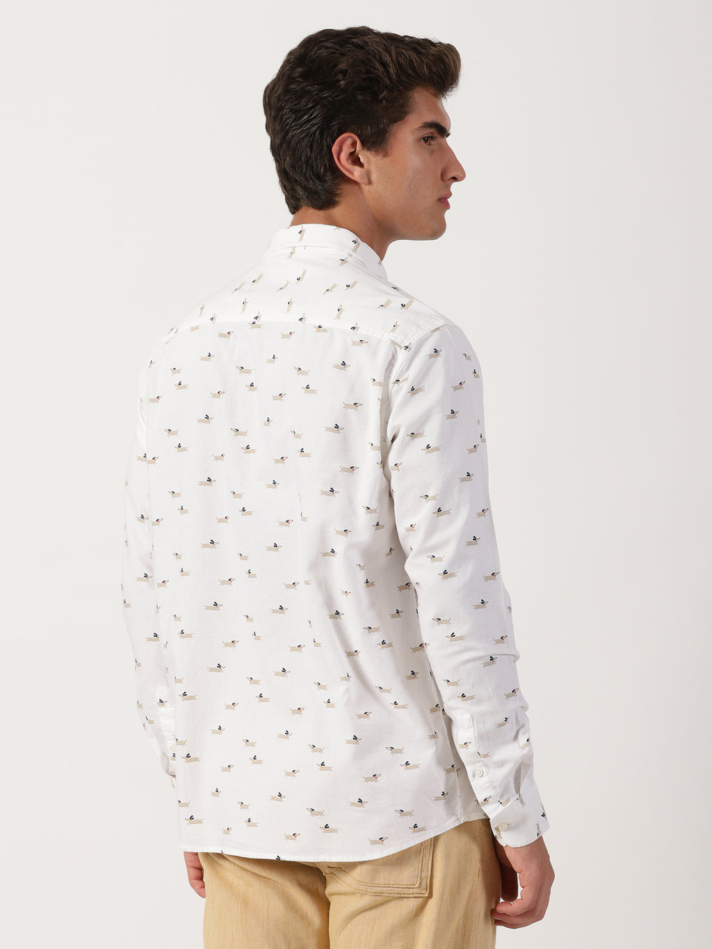 Men Regular Fit Shirt White
