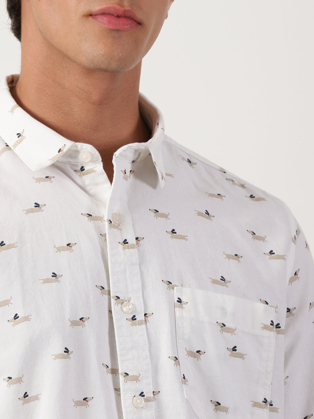 Men Regular Fit Shirt White
